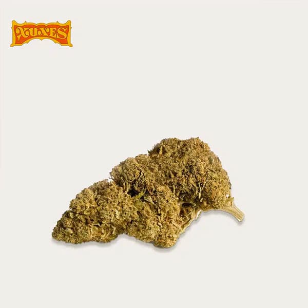 Somango CBD > Xuxes | Productos CBD